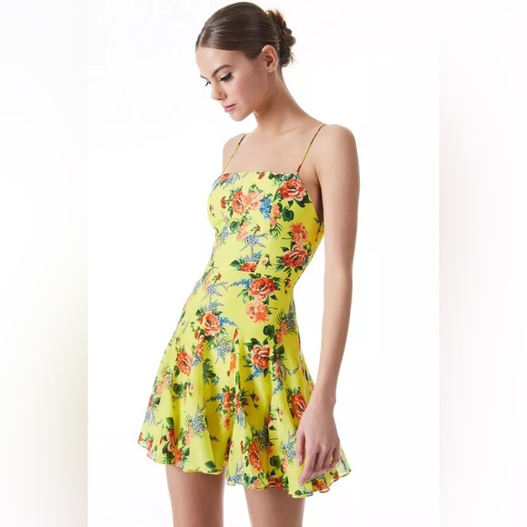 Alice and Olivia NWT Dress - Picture 7 of 16